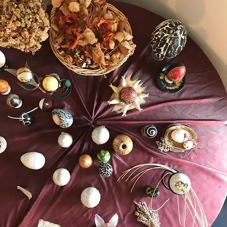 塞勒涅别墅酒店 拉努塞伊