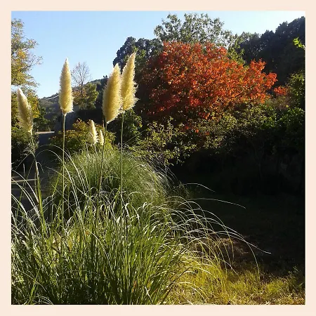 塞勒涅别墅酒店 酒店