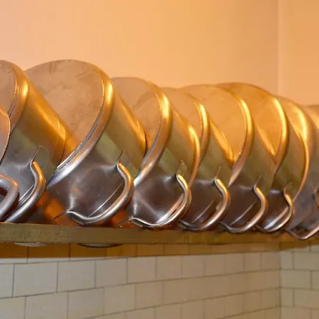 酒店 塞勒涅别墅酒店 4*