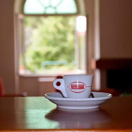 塞勒涅别墅酒店